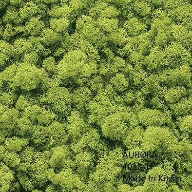 AURORA 4013-1