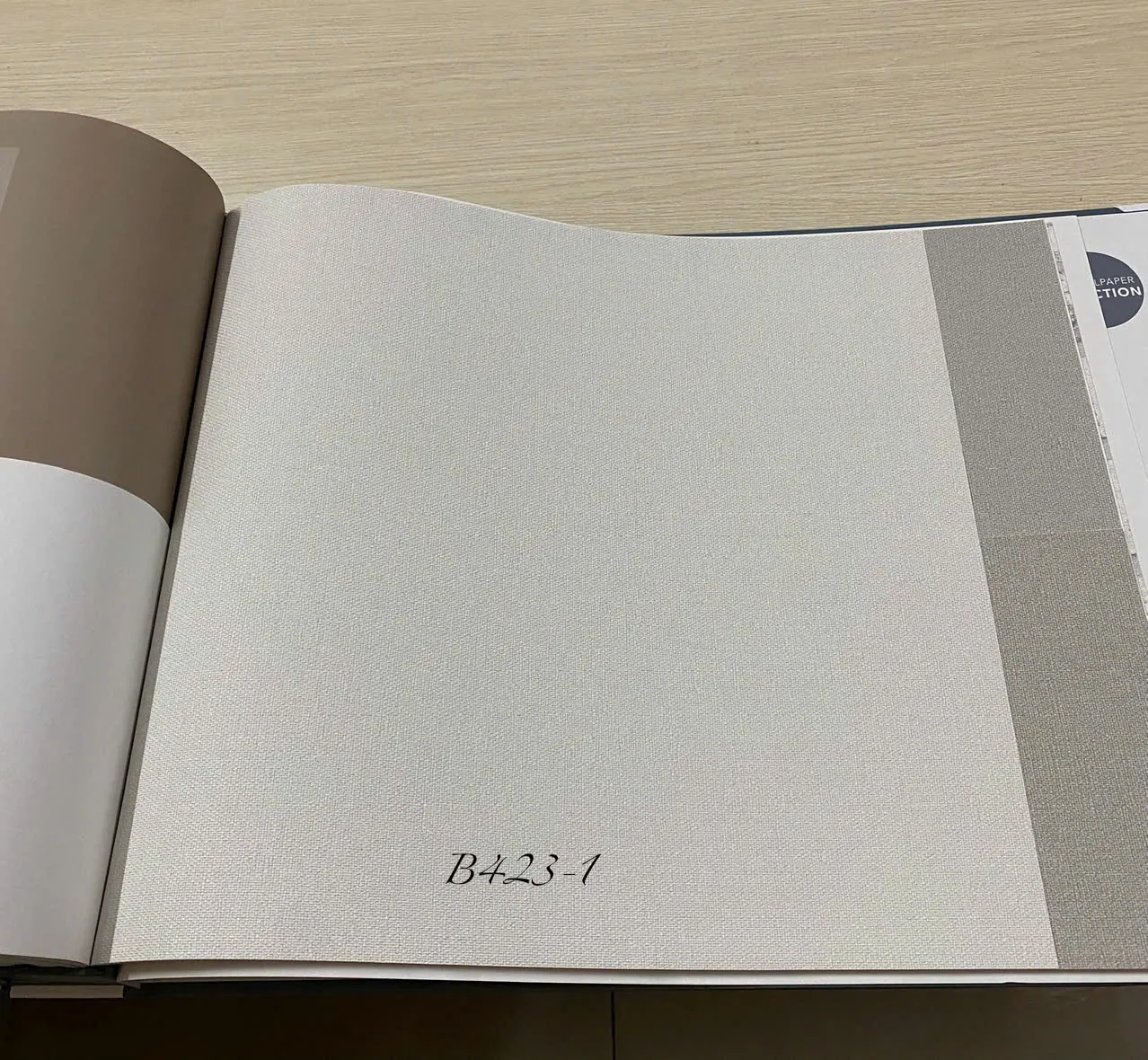 BASIC + 423-1 - Ảnh mẫu