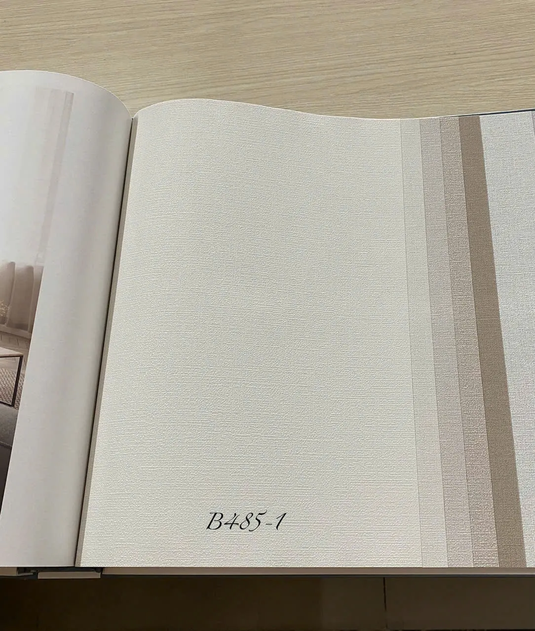 BASIC + 485-1