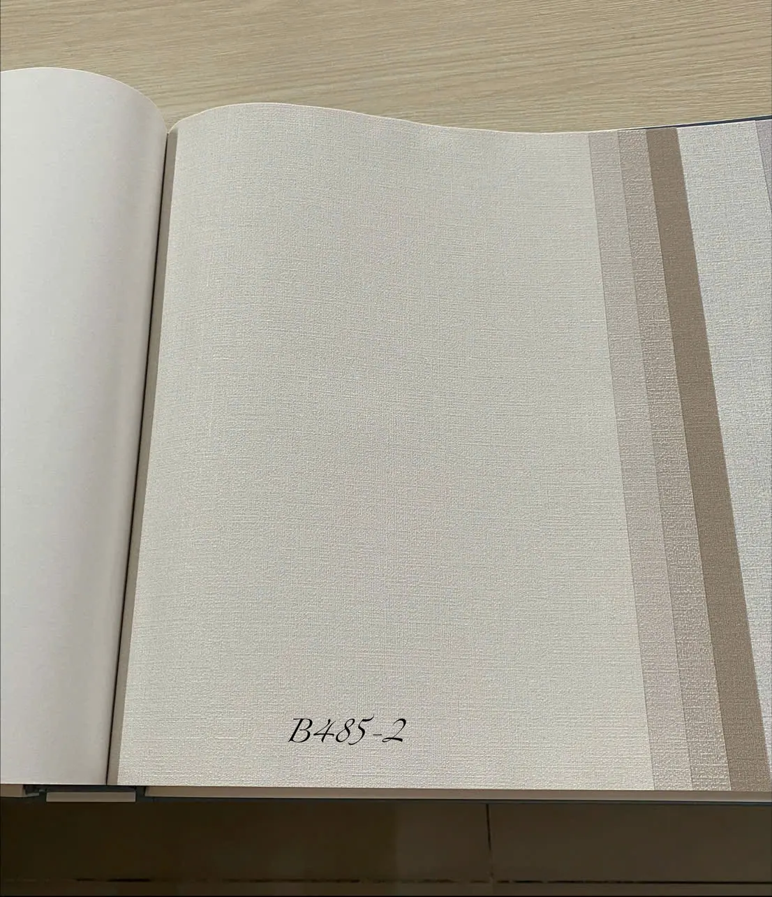BASIC + 485-2 - Ảnh mẫu