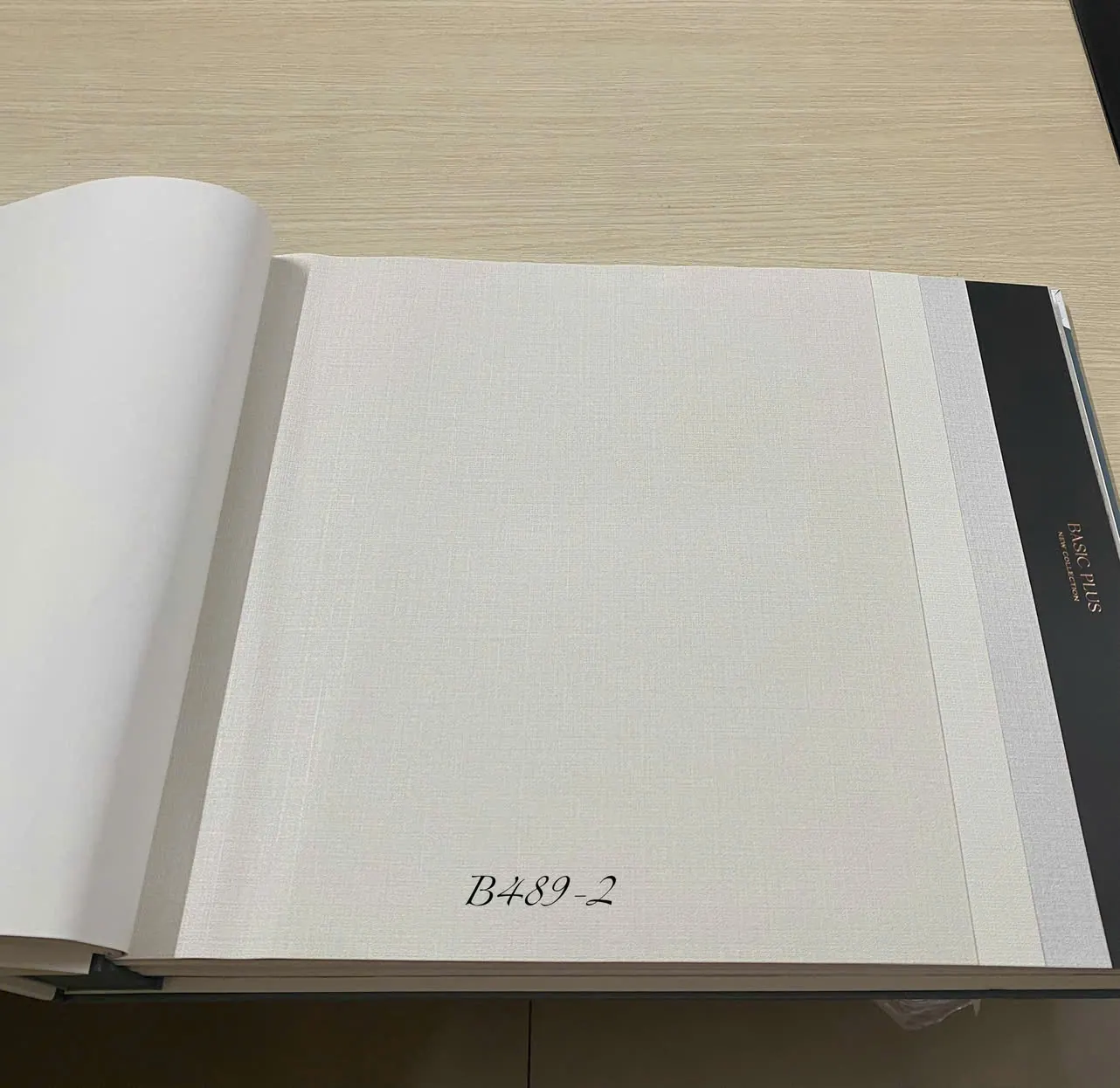 BASIC + 489-2 - Ảnh mẫu