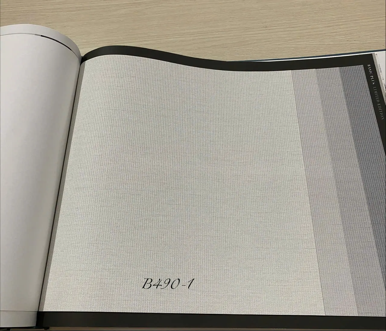 BASIC + 490-1 - Ảnh mẫu