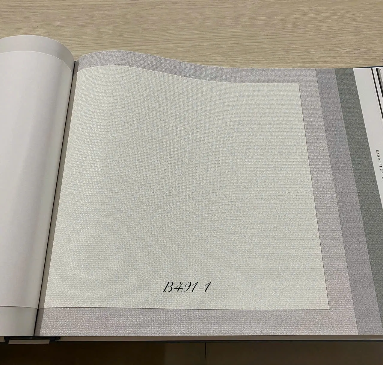 BASIC + 491-1 - Ảnh mẫu