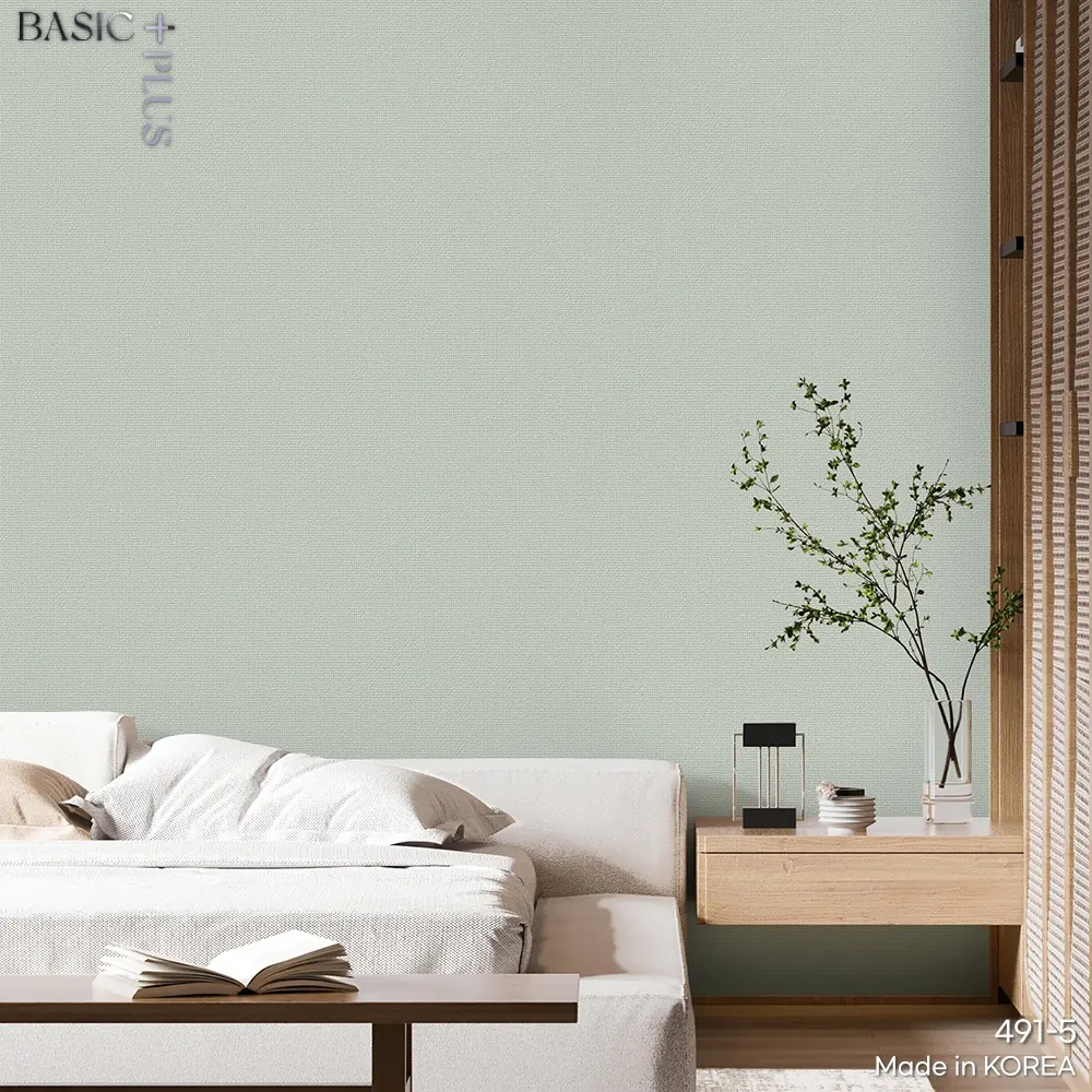 BASIC + 491-5