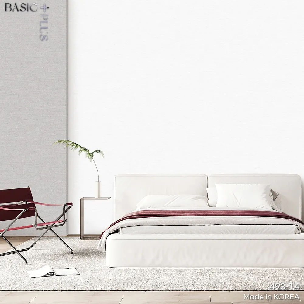 BASIC + 493-1 - Ảnh mẫu