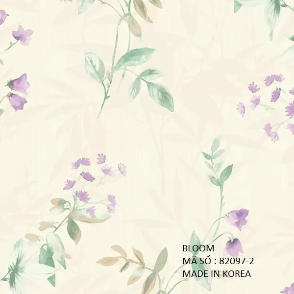 BLOOM 82097-2 - Ảnh mẫu