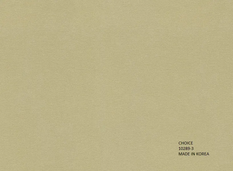 CHOICE 10289-3 - Ảnh mẫu