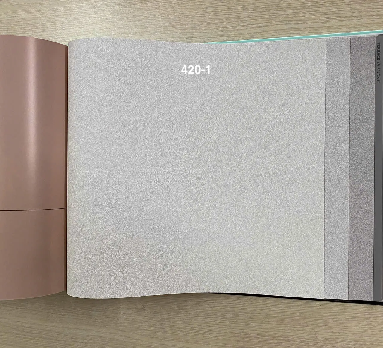 PLAIN 420-1 - Ảnh mẫu