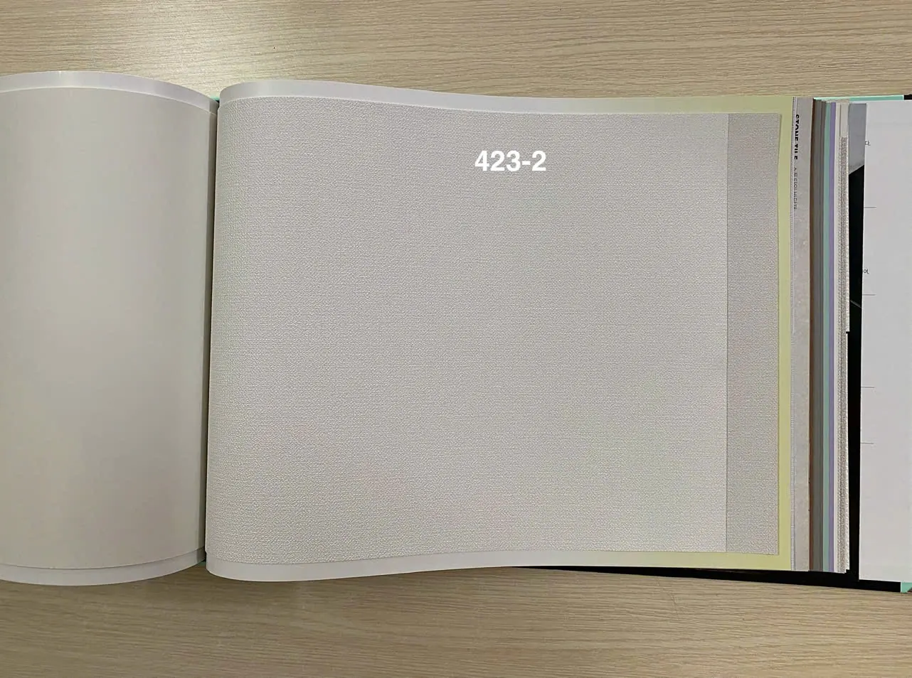 PLAIN 423-2 - Ảnh mẫu