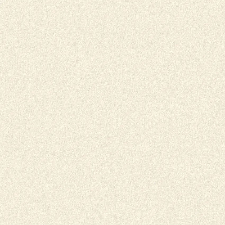 PROMISE 52505-2 - Ảnh mẫu