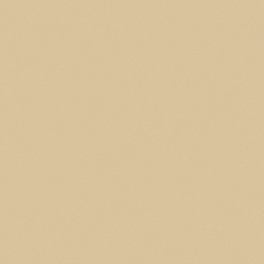PROMISE 52505-3 - Ảnh mẫu