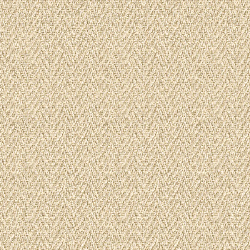 PROMISE 52508-3 - Ảnh mẫu