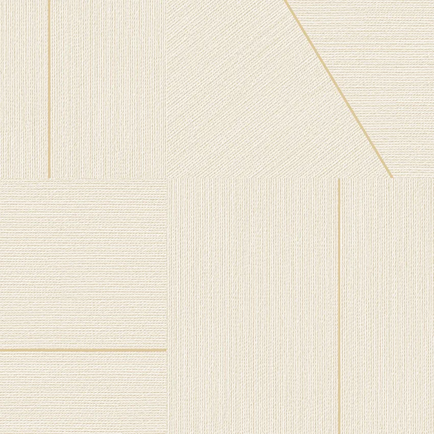 PROMISE 52509-1 - Ảnh mẫu
