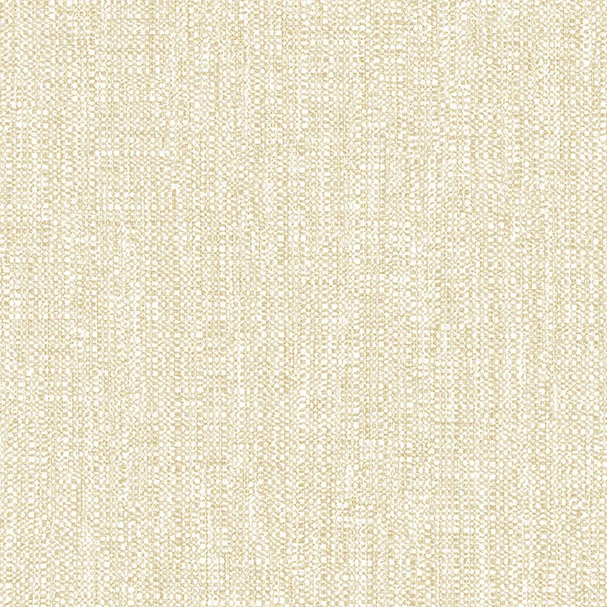 PROMISE 52519-1 - Ảnh mẫu