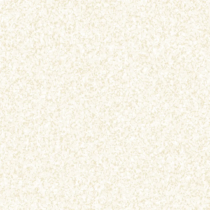 PROMISE 52522-4 - Ảnh mẫu