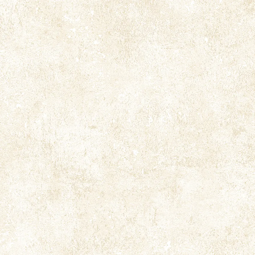 PROMISE 52523-2 - Ảnh mẫu