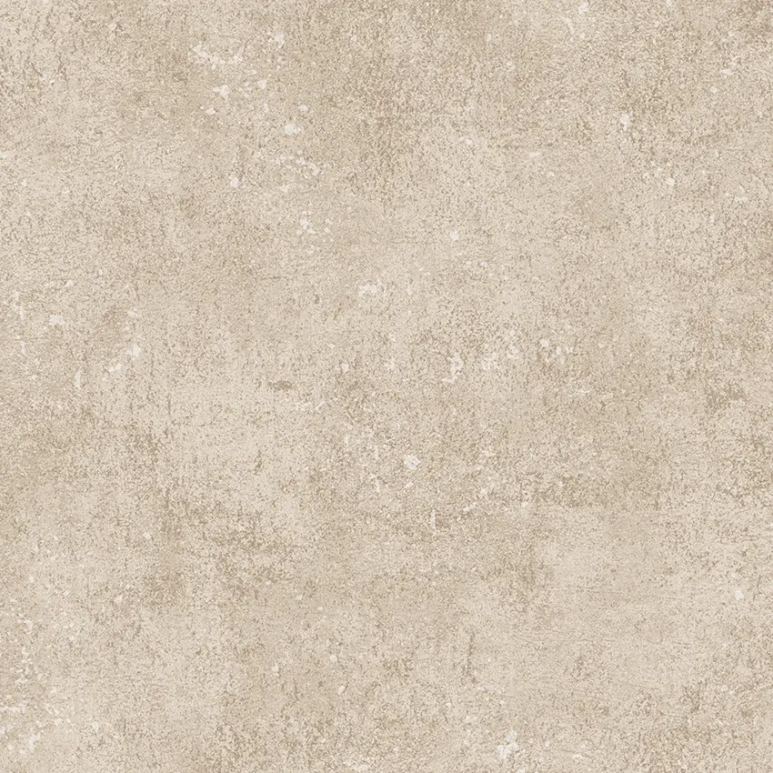 PROMISE 52523-6 - Ảnh mẫu