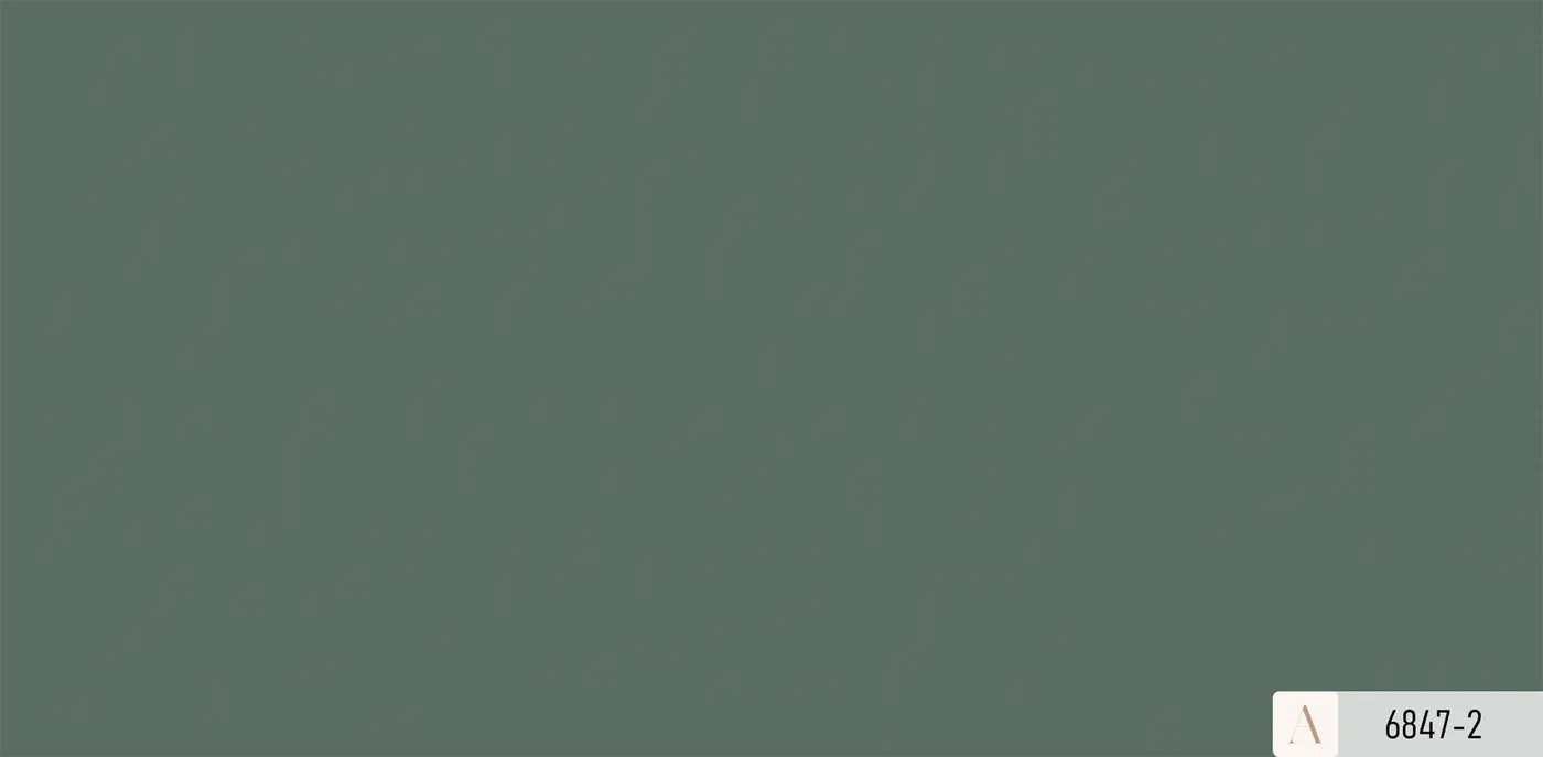 ALBANY 2025 6847-2 - Ảnh mẫu