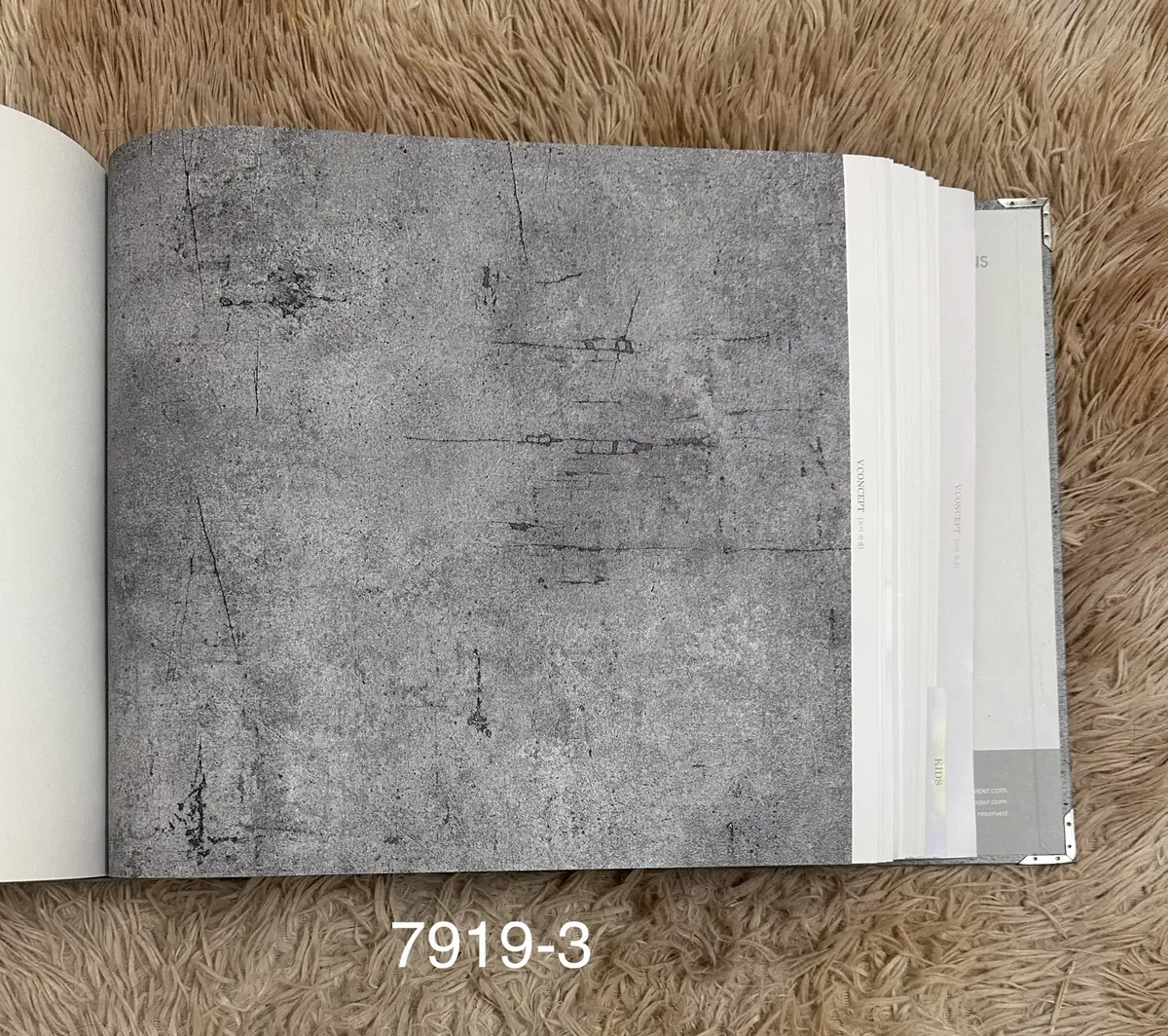 V-CONCEPT 2025 7919-3 3 V-CONCEPT 2025 7919-3 - Ảnh thực tế