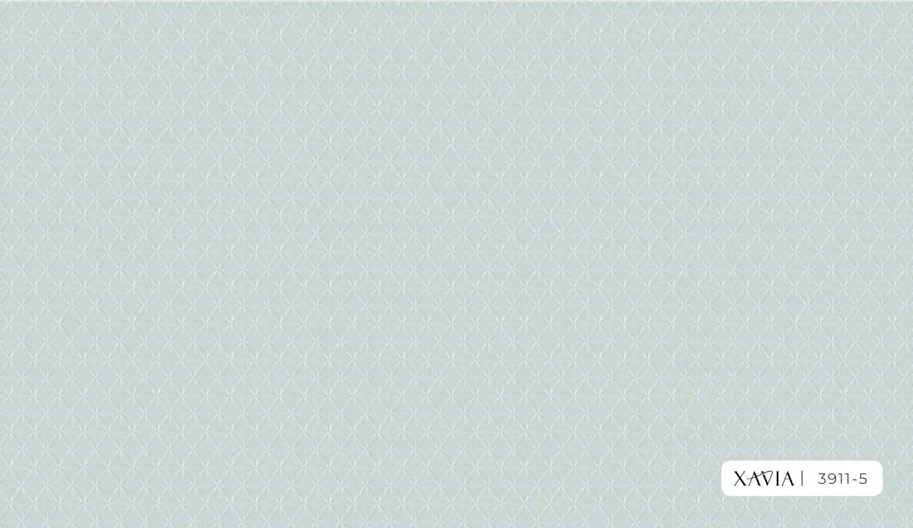 XAVIA 2025 3911-5 - Ảnh mẫu