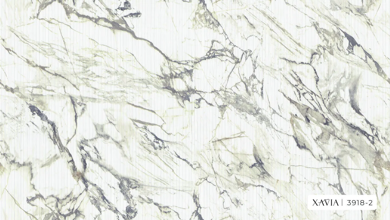XAVIA 2025 3918-2 - Ảnh mẫu
