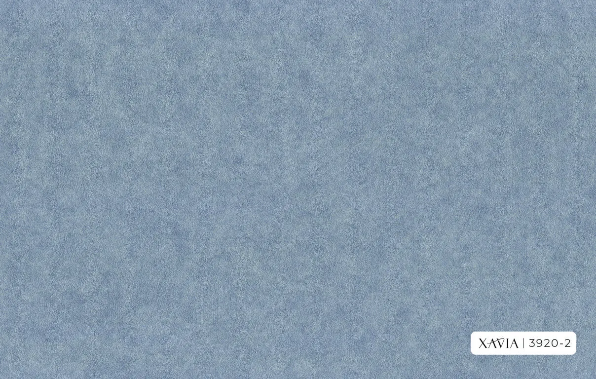 XAVIA 2025 3920-2 - Ảnh mẫu