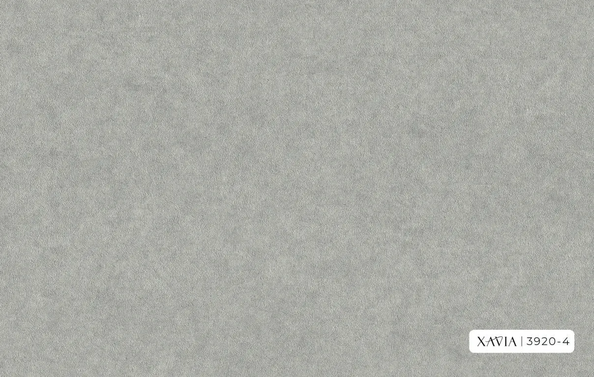 XAVIA 2025 3920-4 - Ảnh mẫu